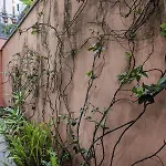 Prione With Patio By Wonderful Italy * 热那亚
